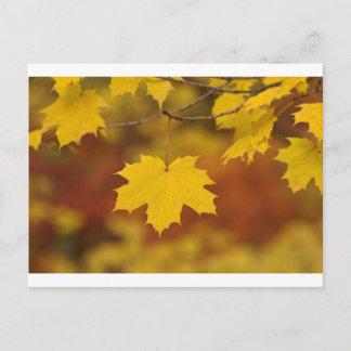 Inspirerend herfst briefkaart