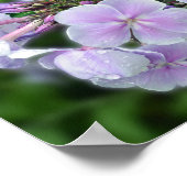 Inspirerend hydrangea Floral Quote Poster (Hoek)