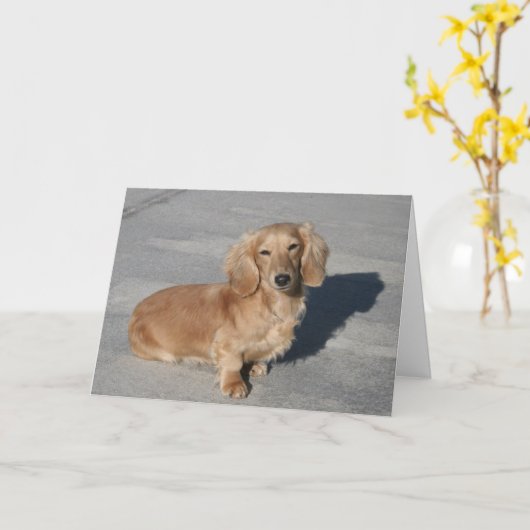 Inspirerend Kaart (Gele Bloem)