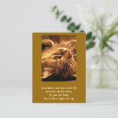 Inspirerend kaart: Leven naar boven Briefkaart (Staand voorkant)