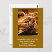 Inspirerend kaart: Leven naar boven Briefkaart (Voorkant / Achterkant)