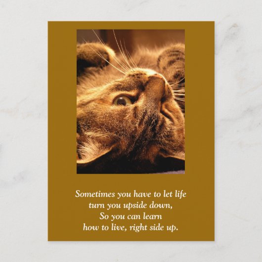 Inspirerend kaart: Leven naar boven Briefkaart (Voorkant)