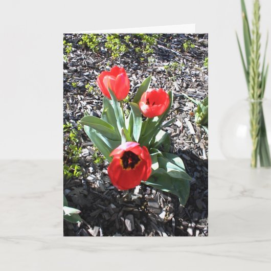 Inspirerend Kaart voor de Feestdagen (Voorkant)