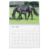 Inspirerend kalender voor Friesian Horse (Mar 2026)