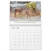 Inspirerend kalender voor wilde dieren (Mar 2027)