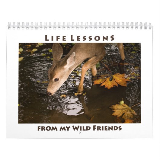 Inspirerend kalender voor wilde dieren (Hoes)