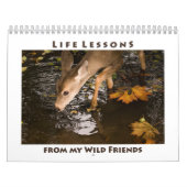 Inspirerend kalender voor wilde dieren (Hoes)