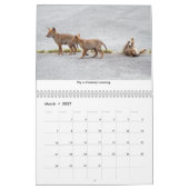 Inspirerend kalender voor wilde dieren (Mar 2027)