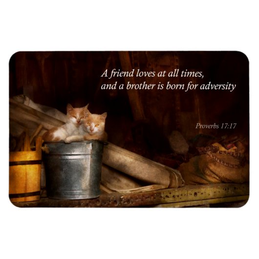 Inspirerend - Kat - Emmer van plezier Magneet (Horizontaal)