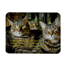 Inspirerend Kat Magnet - Alle katten zijn uniek Magneet
