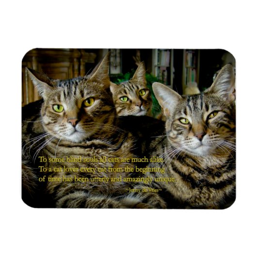 Inspirerend Kat Magnet - Alle katten zijn uniek Magneet (Horizontaal)