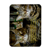 Inspirerend Kat Magnet - Alle katten zijn uniek Magneet (Verticaal)
