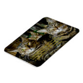 Inspirerend Kat Magnet - Alle katten zijn uniek Magneet (Linkerzijde)