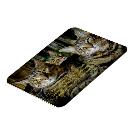 Inspirerend Kat Magnet - Alle katten zijn uniek Magneet (Linkerzijde)