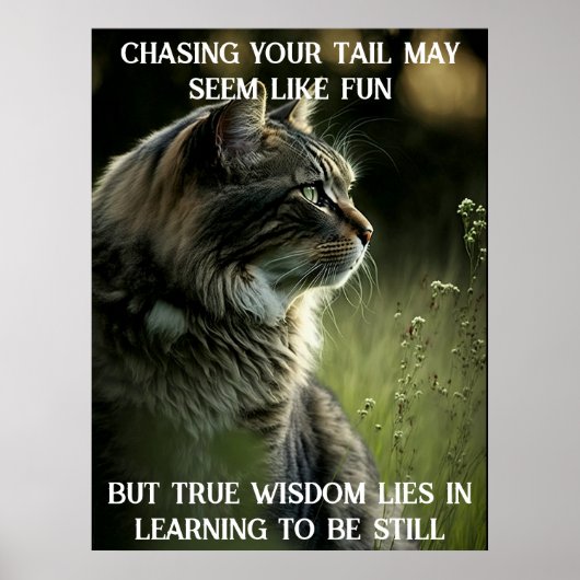 Inspirerend Kat Poster met Motivatie Citaat (Voorkant)