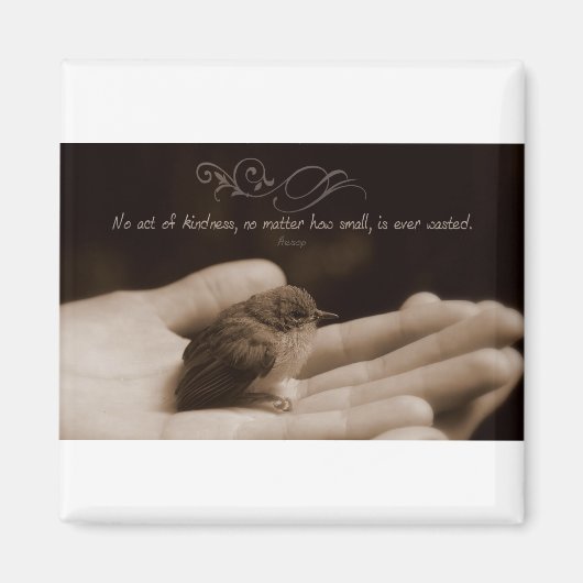 Inspirerend Kindness Quote van Aesop Magneet (Voorkant)