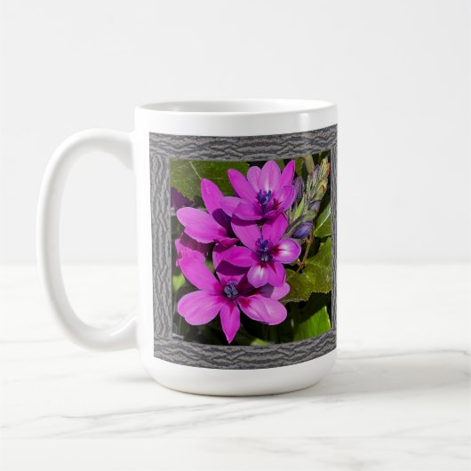 Inspirerend Koffie Mok met Mooie Baboon Flower (Links)