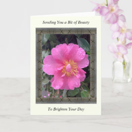 Inspirerend krijgt een Eurocard met roze Camellia Kaart