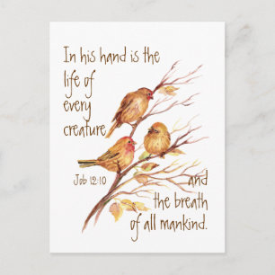 Inspirerend leven van elk citaat briefkaart