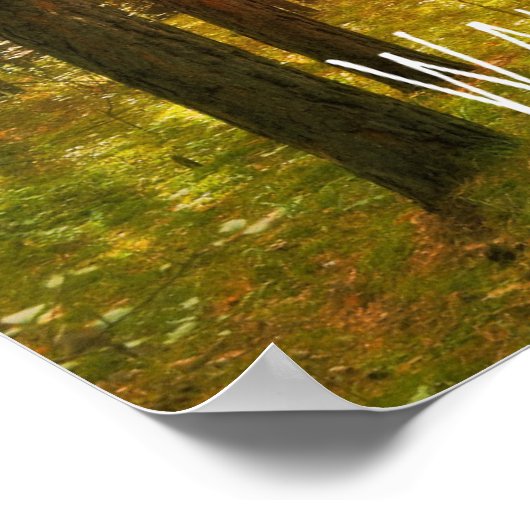 Inspirerend looppas in de lichte Bijbelverse Poster (Hoek)