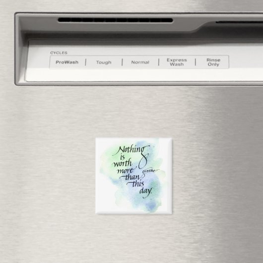 Inspirerend magneet (Insitu (Vaatwasser))