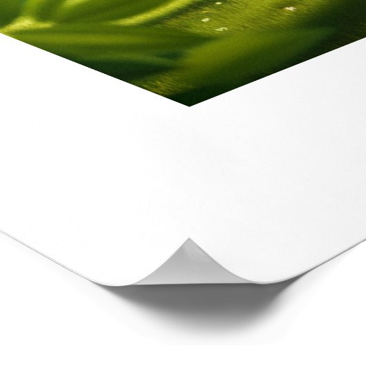 Inspirerend Motivation Poster (Hoek)