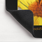 INSPIREREND MUISMAT 10Q (Hoek)