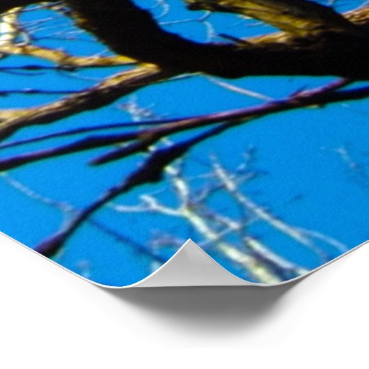 INSPIREREND NATUUR FOTO ART POSTER (Hoek)