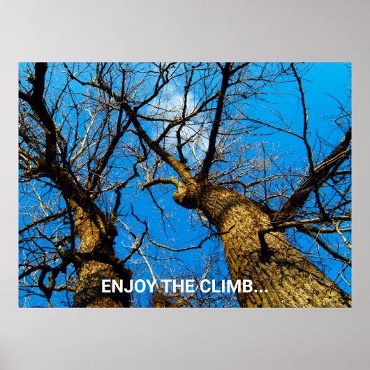 INSPIREREND NATUUR FOTO ART POSTER (Voorkant)