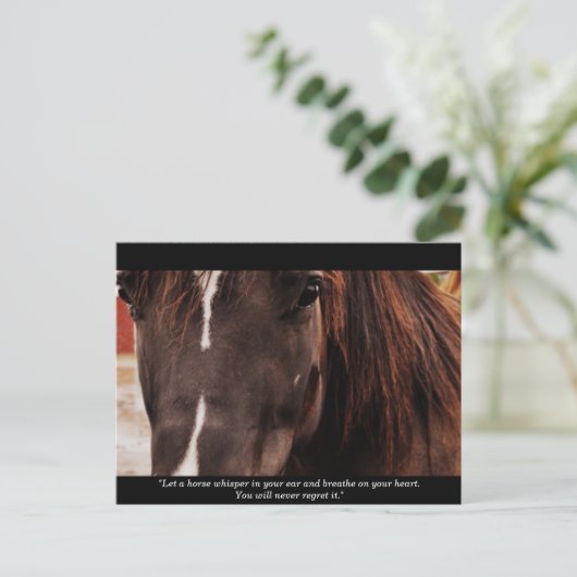 Inspirerend paarden Briefkaart (Staand voorkant)