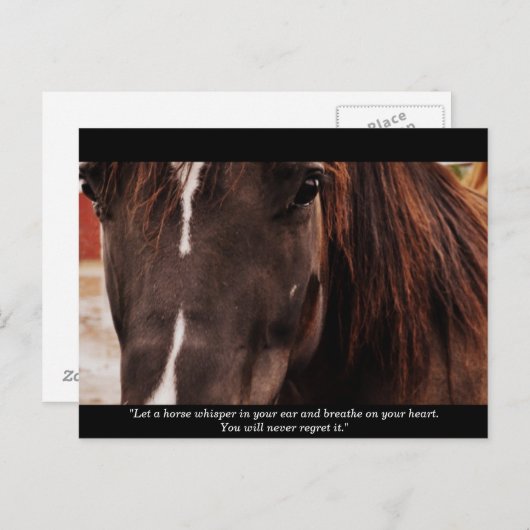 Inspirerend paarden Briefkaart (Voorkant / Achterkant)