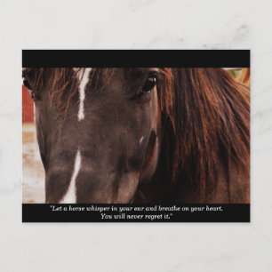 Inspirerend paarden Briefkaart