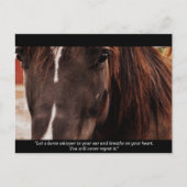 Inspirerend paarden Briefkaart (Voorkant)