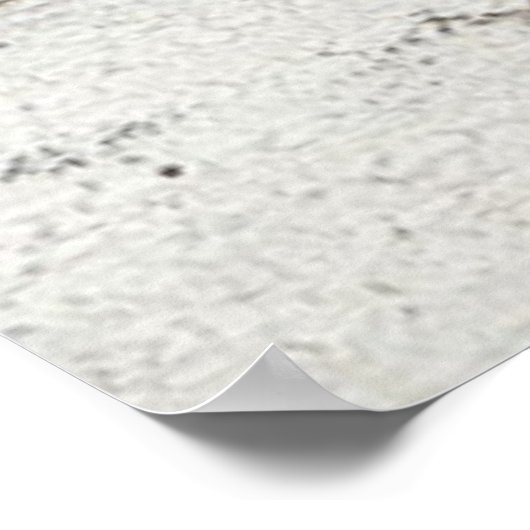 Inspirerend paarden poster (Hoek)