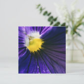 Inspirerend paarse macrofoto's van de stroomafneme (Staand voorkant)