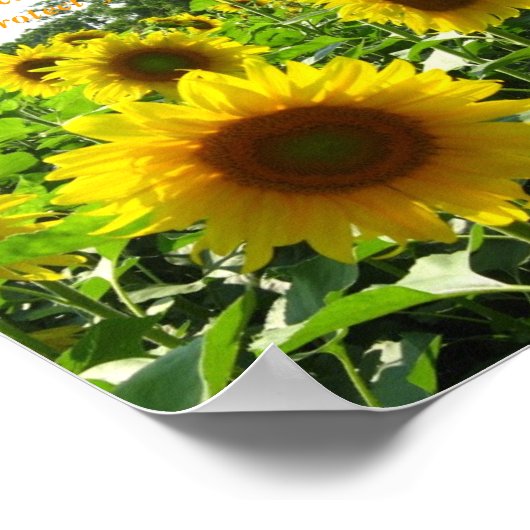 Inspirerend Poster (Hoek)