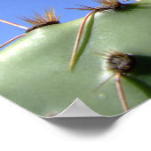 inspirerend poster cactus bloem (Hoek)