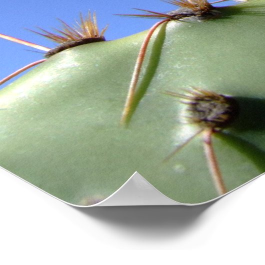 inspirerend poster cactus bloem (Hoek)