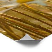 Inspirerend Poster van de Faith Quote - fotografie (Hoek)