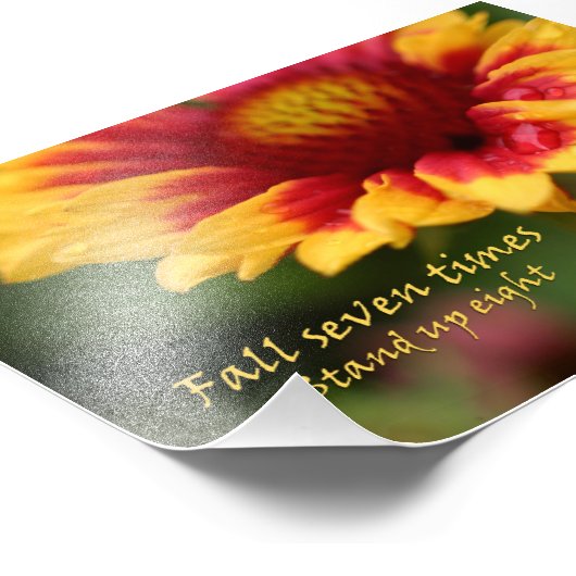 Inspirerend prijsaanduiding kleurrijke bloemfoto foto afdruk (Hoek)