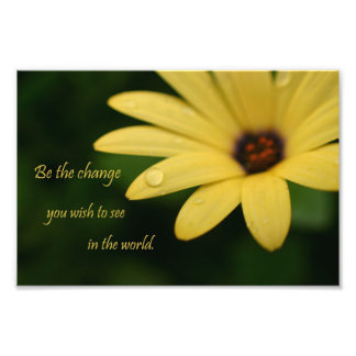 Inspirerend prijsaanduiding maisy flower fotograaf foto afdruk
