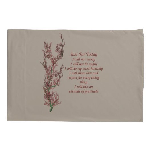 Inspirerend prijsopgave alleen voor vandaag kussensloop (Achterkant)