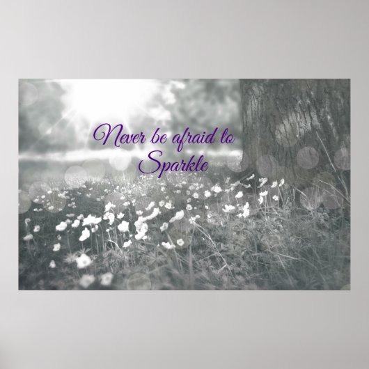 Inspirerend prijsopgave is nooit bang voor Sparkle Poster (Voorkant)