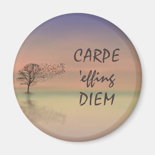 Inspirerend Quote CARPE DIEM Sjabloon Magnet (Voorkant)