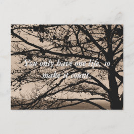 Inspirerend Quote Fotografie Briefkaarten