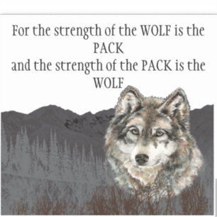 Inspirerend Quote Grijze Wolf Mountain Dier Sticker