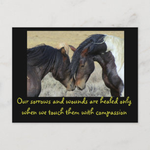 Inspirerend quote. Twee wilde paarden snuffelen Briefkaart