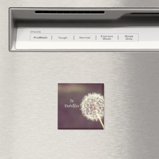 Inspirerend quote: Wees ongelooflijk Magneet (Insitu (Vaatwasser))