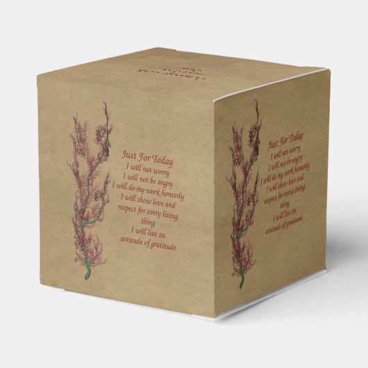 Inspirerend Reiki is gewoon voor vandaag persoonli Bedankdoosjes (Achterkant)
