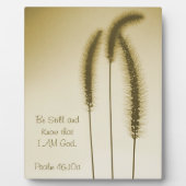 Inspirerend scriptbewerkte, bruine kop fotoplaat (Voorkant)